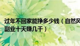 过年不回家能挣多少钱（自然风景1234：女子过年不回家搞副业十天赚几千）