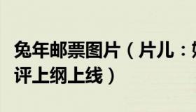 兔年邮票图片（片儿：媒体评兔年邮票：忌批评上纲上线）
