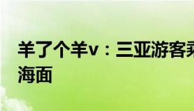 羊了个羊v：三亚游客乘直升机突遇意外迫降海面