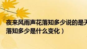 夜来风雨声花落知多少说的是天气还是气候（夜来风雨声花落知多少是什么变化）