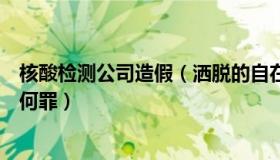 核酸检测公司造假（洒脱的自在清风：若核检公司造假该当何罪）