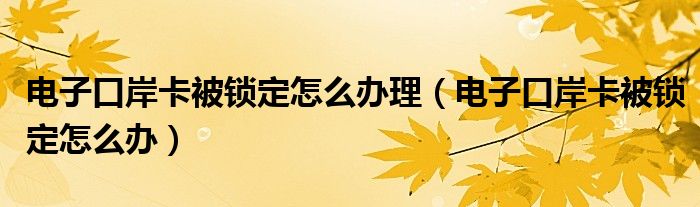 电子口岸的卡怎么使用（电子口岸操作员卡被锁定了怎么办）