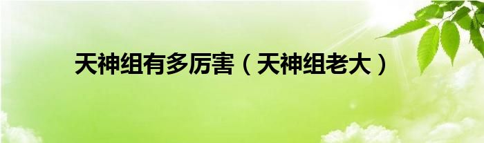 漫威天神组（天神组oaa）