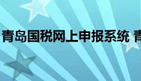 青岛国税网上申报系统 青岛市税务申报平台）