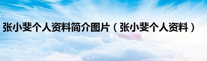 张小斐个人资料简介图片大全（张小斐个人资料及简介）