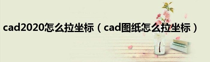 cad拉坐标视频教程（cad2017怎么拉坐标）