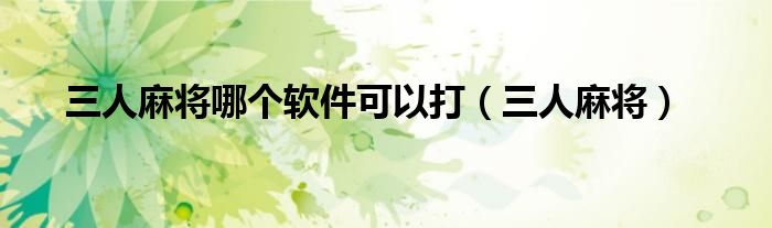三个人打麻将的小程序（三人打麻将的软件）