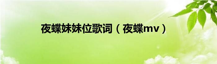 夜蝶歌曲视频（夜蝶怎么了）