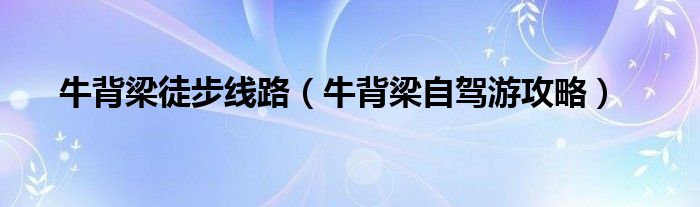 牛背梁自驾一日游攻略（牛背梁一日游攻略）