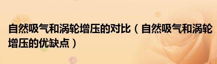 自然吸气和涡轮增压哪个噪音大（自然吸气和涡轮增压的火花塞一样吗）