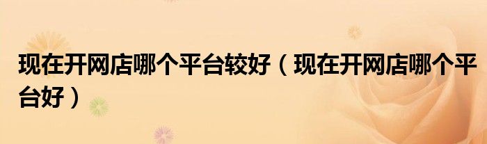 现在开网店什么东西好卖（现在开网店哪个平台较好）