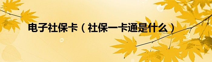 电子社保卡下载安装（【电子社保卡】）