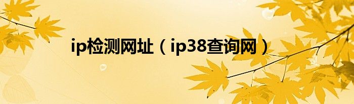 ip检测在线（在线查询ip工具）