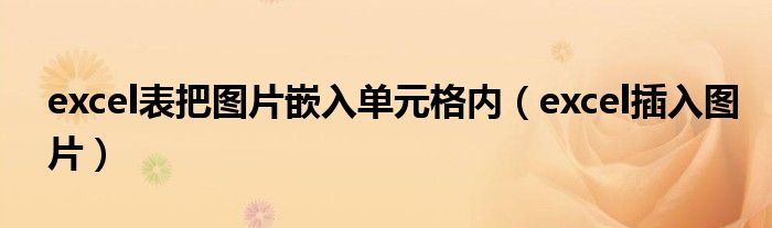 excel表把图片嵌入单元格内后不显示（excel表把图片嵌入单元格内底部不显示）