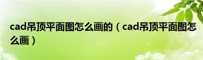 cad吊顶图是什么意思（cad吊顶详图）