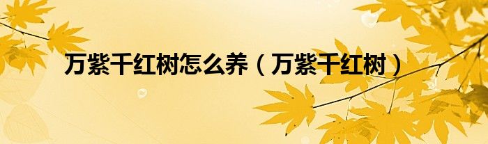 万紫千红树种植位置（万紫千红树种植方法）