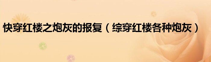 红楼炮灰女（红楼炮灰攻略）