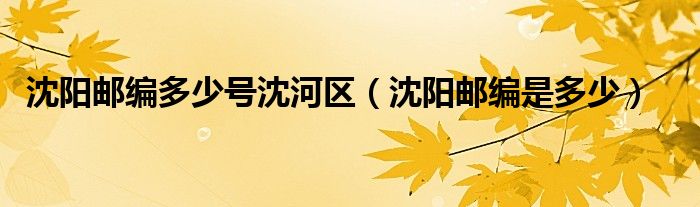 沈阳市沈河区邮政编码110016（沈阳市沈河区邮编）