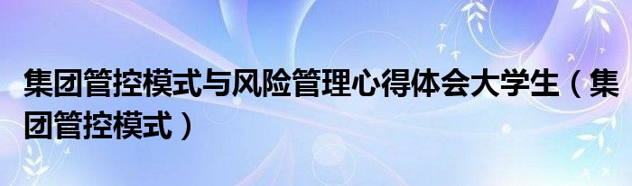 集团管控模式与风险管理实训报告（集团管控模式与风险管理）