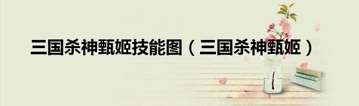 三国杀神甄姬装备（三国杀神甄姬技能图）