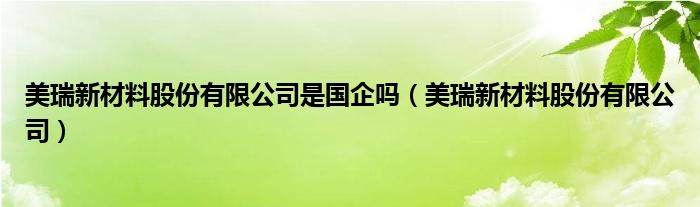 美瑞新材料股份有限公司王仁鸿（美瑞新材料股份有限公司是国企吗）