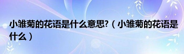 小雏菊的花语寓意（小雏菊的花语是什么意思?）