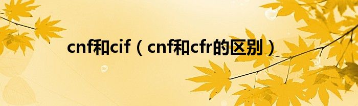 cif cnf cfr（cif和cnf哪个对买方有利）