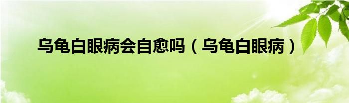 龟眼睛睁不开,都是白色用什么药比较好（龟眼睛睁不开,都是白色）