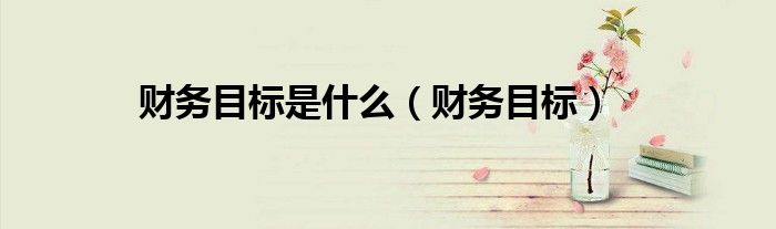 财务目标有哪些及其优缺点（财务目标包括什么）