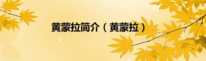 黄蒙拉年轻时候的照片（黄蒙拉(上)）