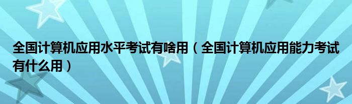 全国计算机应用技术证书考试(NIT)（全国计算机应用水平考试多少钱）