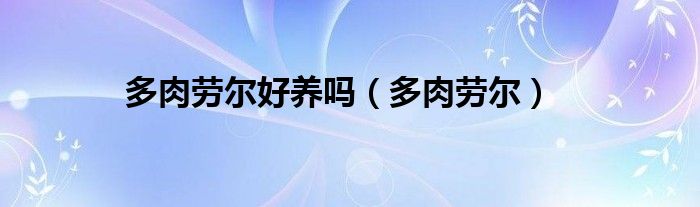 多肉植物劳尔怎么养（多肉劳尔怎么养爆盆）