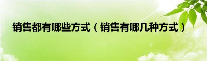 销售有几种方法和技巧（销售有几种方法）