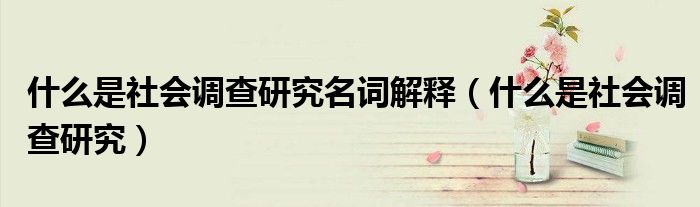 社会调查实践报告（什么叫社会调查研究）