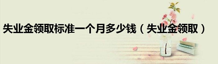 失业金领取标准一个月多少钱海南（失业金领取标准一个月多少钱天津）