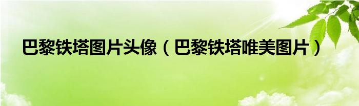 巴黎铁塔的照片 背影（巴黎铁塔图片 简笔画）