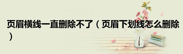 word顶端有一条横线不是页眉（页眉横线一直删除不了2010）