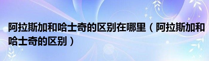 阿拉斯加熊版多少钱（阿拉斯加是大型犬吗）
