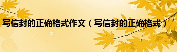 写作文的信封格式怎么写（写信封作文的格式应该是什么样子的）