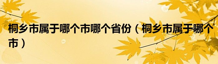 桐乡市属于哪个市哪个省份（桐乡市属于哪个市）