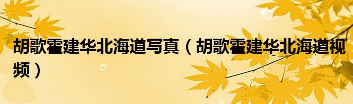 胡歌霍建华北海道照片高清（胡歌霍建华北海道照片在哪里拍的）