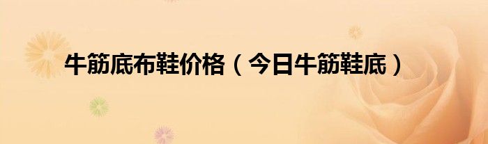 牛筋底鞋子贵吗好看吗 牛筋底鞋子贵吗