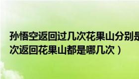 孙悟空返回过几次花果山分别是哪几次（实时快讯孙悟空几次返回花果山都是哪几次）