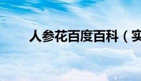 人参花百度百科（实时快讯人参花）