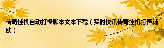 传奇挂机脚本编写教程 传奇挂机打怪免费版