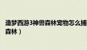 造梦西游3神兽森林宠物怎么捕捉（实时快讯造梦西游3神兽森林）