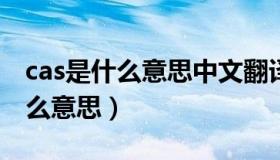 cas是什么意思中文翻译（实时快讯CAS是什么意思）