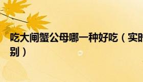吃大闸蟹公母哪一种好吃（实时快讯吃大闸蟹公母有什么区别）