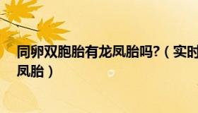 同卵双胞胎有龙凤胎吗?（实时快讯同卵双胞胎有可能是龙凤胎）