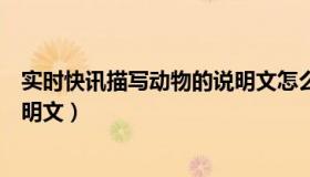 实时快讯描写动物的说明文怎么写（实时快讯描写动物的说明文）